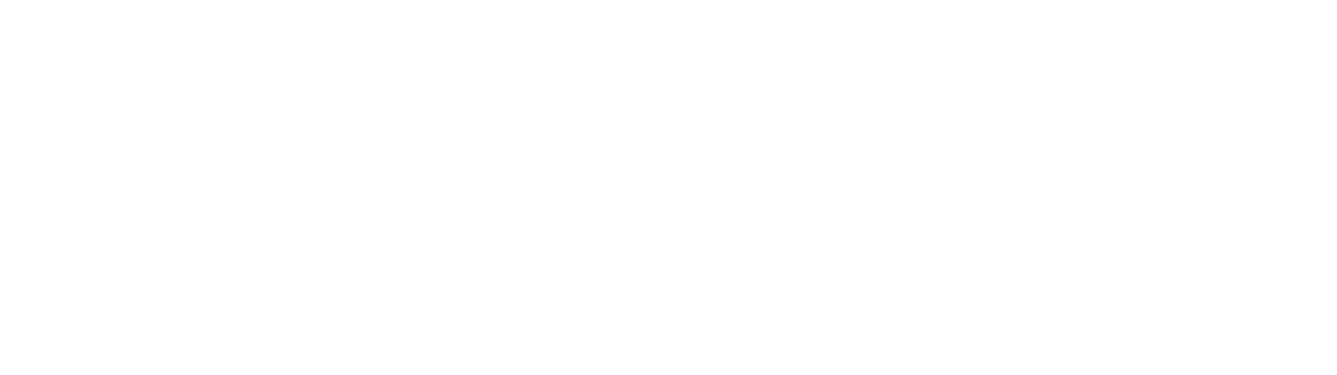 TigersEye Creative Logo